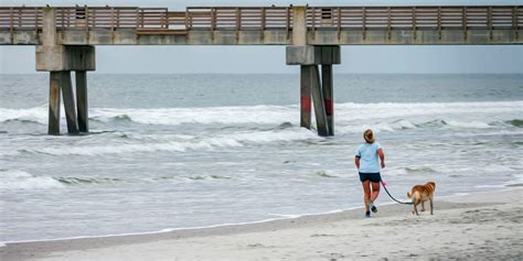 Jacksonville Beach pet